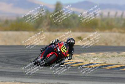 media/Mar-23-2025-CVMA (Sun) [[674f32b282]]/Race 4-Amateur Supersport MW/
